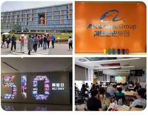 互聯(lián)網(wǎng)公司都在996 咱們?nèi)グ⒗?和ibm一探究竟