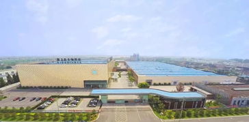 隆力奇 堅(jiān)守大健康產(chǎn)業(yè)，以網(wǎng)絡(luò)科技賦能民族品牌振興之路